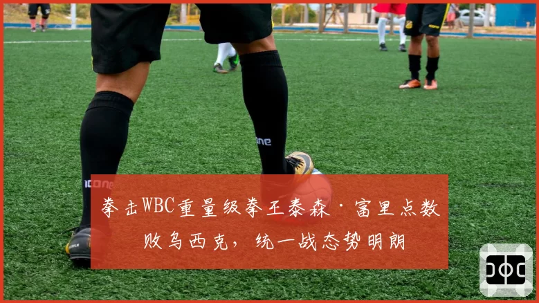 拳击WBC重量级拳王泰森·富里点数击败乌西克，统一战态势明朗