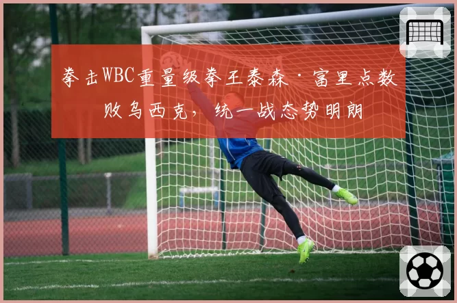 拳击WBC重量级拳王泰森·富里点数击败乌西克，统一战态势明朗