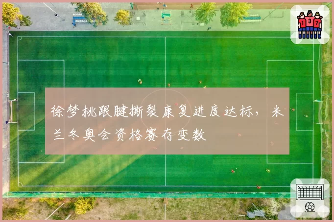 徐梦桃跟腱撕裂康复进度达标,米兰冬奥会资格赛存变数