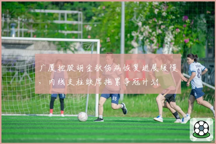 广厦控股胡金秋伤病恢复进展缓慢,内线支柱缺席拖累争冠计划