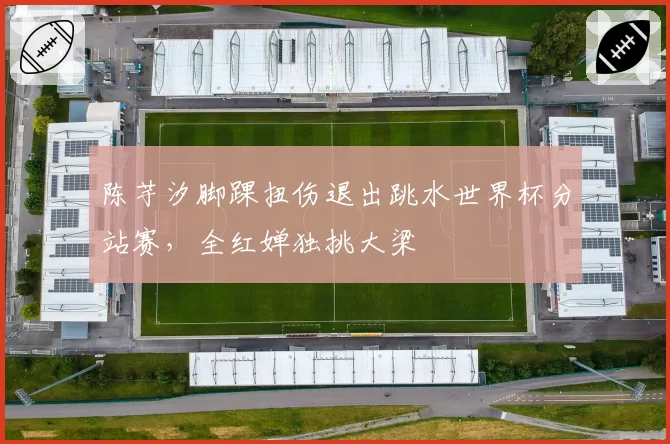 陈芋汐脚踝扭伤退出跳水世界杯分站赛，全红婵独挑大梁