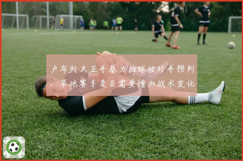 卢布列夫正手暴力抽球被对手预判,草地赛季是否需要增加战术变化?